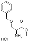 O-叔丁基-L-丝氨酸甲酯盐酸盐